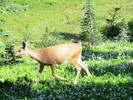 photo thumbnail #14