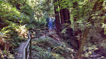photo thumbnail #12