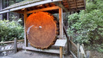 photo thumbnail #5