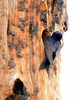 photo thumbnail #5
