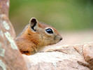 photo thumbnail #13