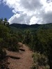 photo thumbnail #5