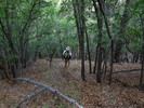 photo thumbnail #5
