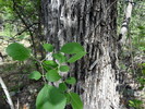 photo thumbnail #7