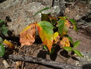 photo thumbnail #9