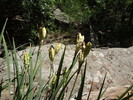 photo thumbnail #12