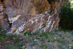 photo thumbnail #15