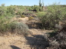 photo thumbnail #5