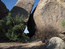 photo thumbnail #8
