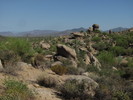 photo thumbnail #14