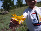 photo thumbnail #3