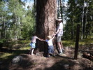 2014-07-18 Big Lake Nature Trail :: Crzy4AZ
