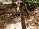 photo thumbnail #6