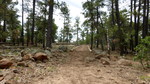 photo thumbnail #9