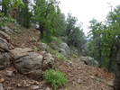 photo thumbnail #11