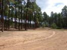 photo thumbnail #14