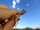 photo thumbnail #1