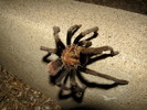photo thumbnail #8