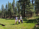 photo thumbnail #4