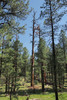 photo thumbnail #6
