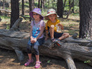 photo thumbnail #10