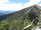 photo thumbnail #2