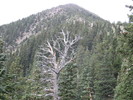 photo thumbnail #14