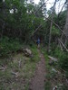 photo thumbnail #10
