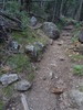 photo thumbnail #12