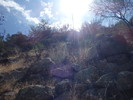 photo thumbnail #1