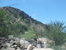 photo thumbnail #7
