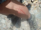 photo thumbnail #10
