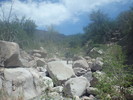 photo thumbnail #12