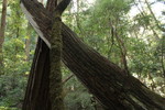 photo thumbnail #12
