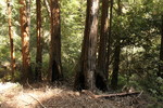 photo thumbnail #13