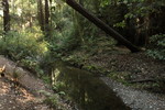 photo thumbnail #14