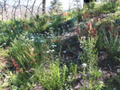 photo thumbnail #7