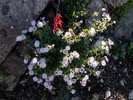 photo thumbnail #12