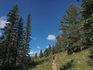 photo thumbnail #1