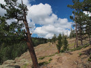 photo thumbnail #9