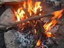photo thumbnail #8