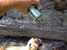 photo thumbnail #7