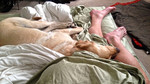 photo thumbnail #11