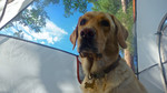 photo thumbnail #9