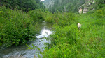 photo thumbnail #4