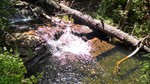 photo thumbnail #6