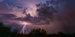 photo thumbnail #9