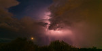photo thumbnail #14