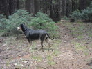 photo thumbnail #2