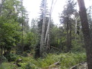 photo thumbnail #7